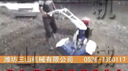 芋頭、草莓開(kāi)溝起壟作業(yè) 